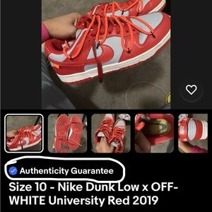 Nike off white dunks